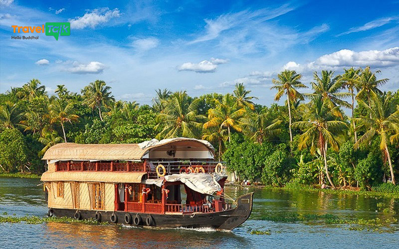 Tour Nam Ấn Độ với lịch trình ngày 2 từ chợ Kochi đến Munnar