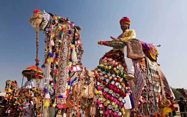 Những con lạc đà đầy màu sắc trong lễ hội Pushkar Camel Fair (Ảnh sưu tầm)