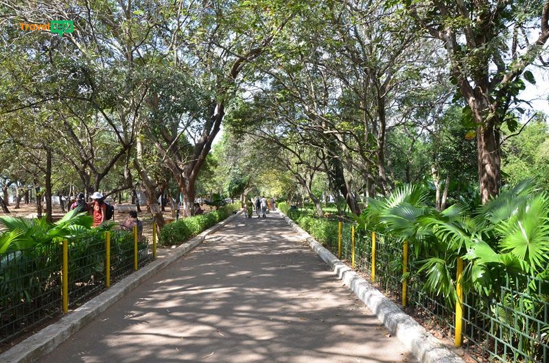 Công viên Chennai với không gian xanh mướt là địa điểm lý tưởng để ghé đến cùng gia đình