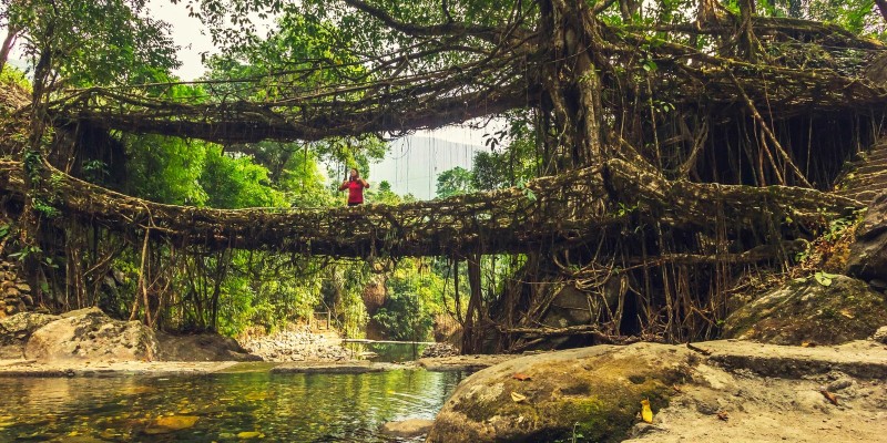 Meghalaya vào mùa mưa mang đến trải nghiệm mát mẻ và thoải mái
