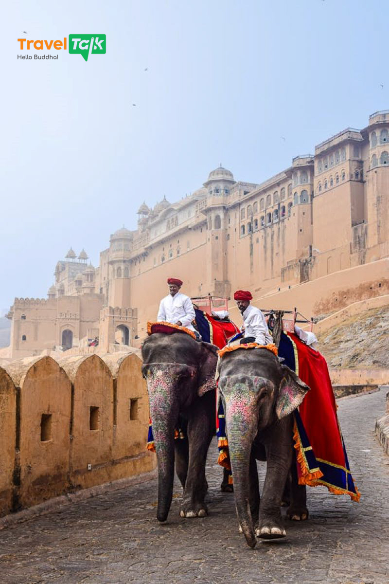 TravelTalk luôn đề cao tiêu chuẩn trải nghiệm của khách hàng lên hàng đầu