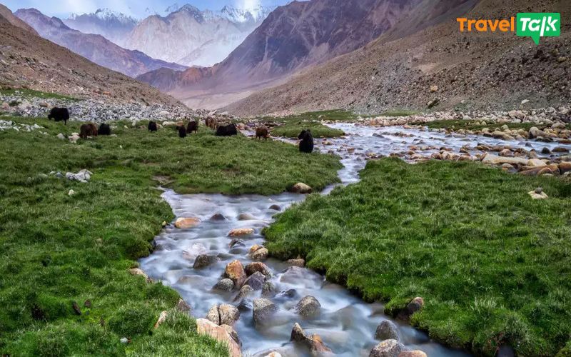 Tour Ladakh huyền thoại - Phiêu lưu nơi tận cùng thế giới