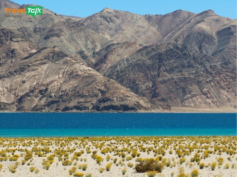 Du lịch Ladakh tự túc