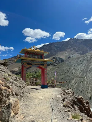 Case Study: Du khách Việt tại Hemis Festival 2025
