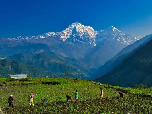 So sánh Tour Ấn Độ Himalaya với các tour khác