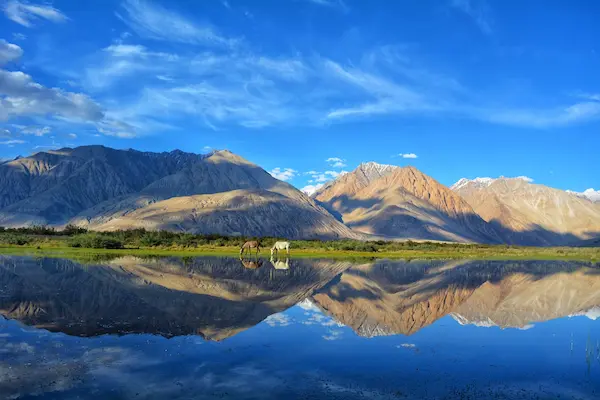 Tác động của hạn ngạch khách du lịch Ladakh đến tour từ Việt Nam