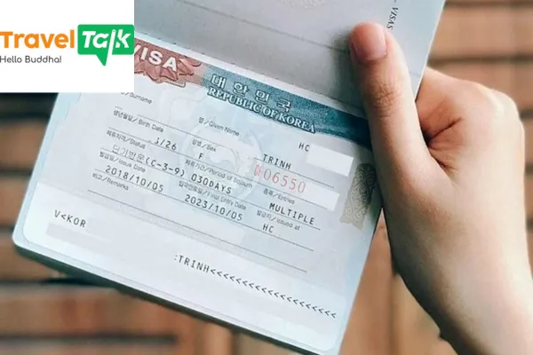 Visa thương mại
