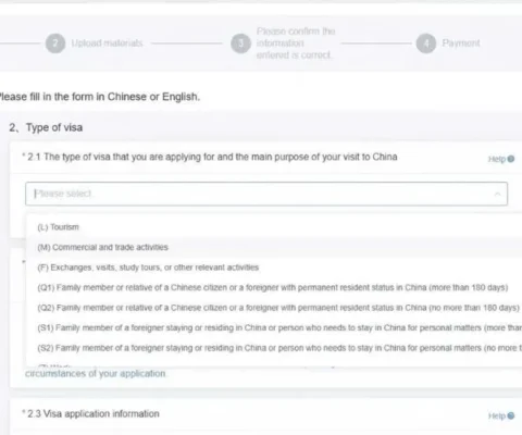 Bước 2: Khai báo thông tin visa
