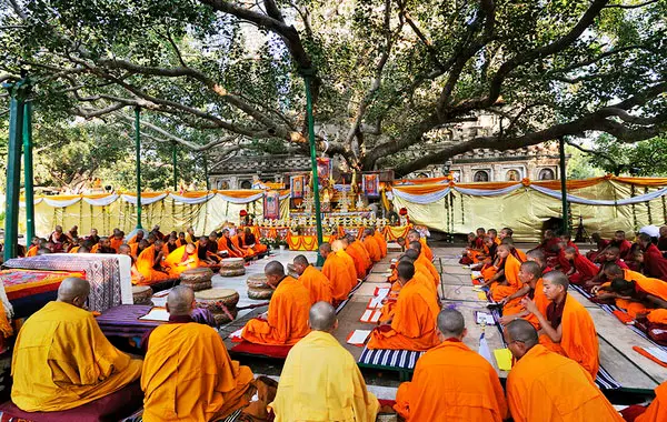 Lễ tụng ở Bodh Gaya: tham gia thế nào nếu đi lần đầu