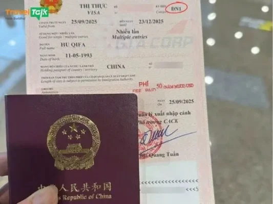 Visa thương mại