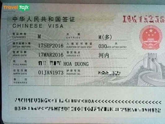 Visa thương mại