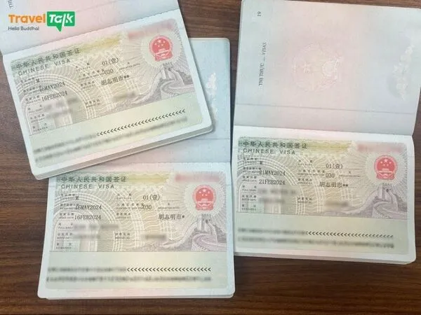 Visa thương mại