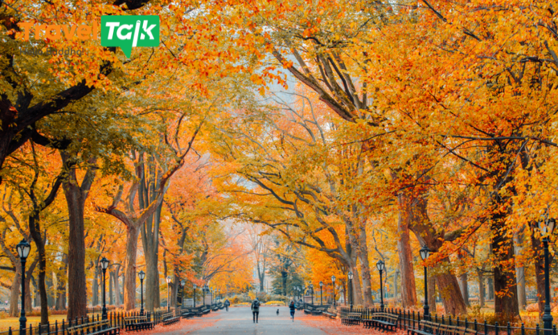 Mùa thu tại New York Mỹ