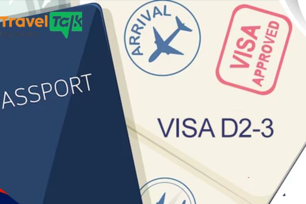 Visa D2-3