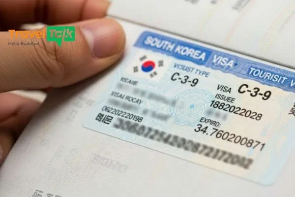 Điều kiện xin visa du lịch nhập cảnh một lần (C-3-9)