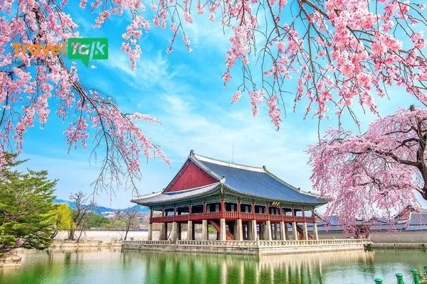 Có nên đi du lịch Hàn Quốc tháng 6 không?