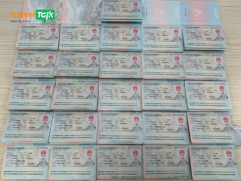 Visa 1