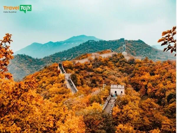 Giá tour Nhật tăng, khách Việt chuyển sang Trung Quốc! 3 gia tour nhat ban tang khach viet chuyen sang trung quoc 3