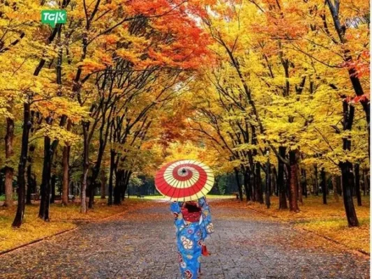 Giá tour Nhật tăng, khách Việt chuyển sang Trung Quốc!