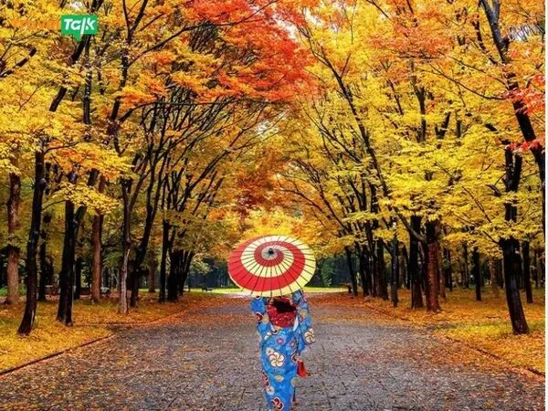 Giá tour Nhật tăng, khách Việt chuyển sang Trung Quốc!