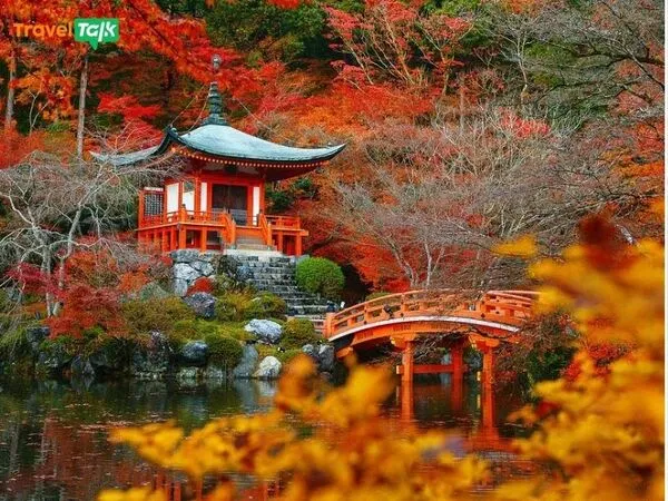 Giá tour Nhật tăng, khách Việt chuyển sang Trung Quốc! 2 gia tour nhat ban tang khach viet chuyen sang trung quoc 5
