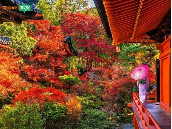 Giá tour Nhật tăng, khách Việt chuyển sang Trung Quốc! 1 Giá tour Nhật tăng, khách Việt chuyển sang Trung Quốc!